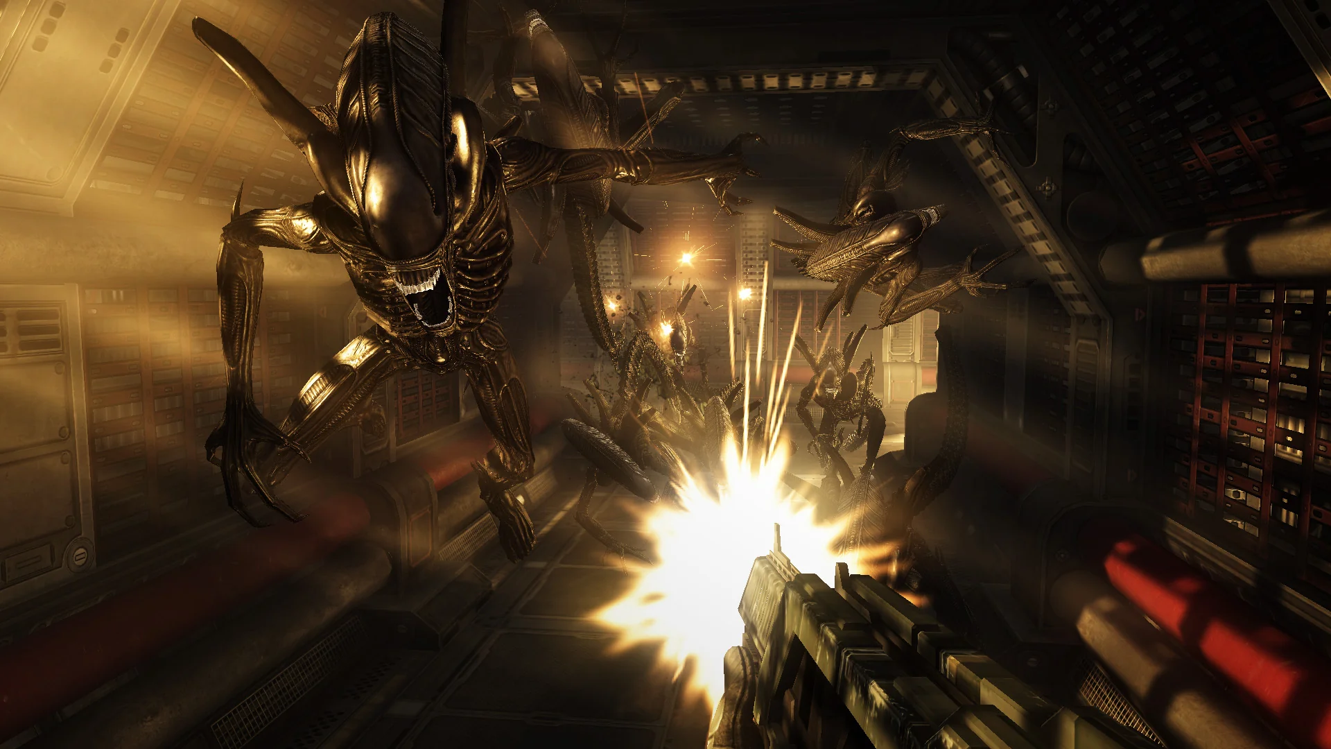 Aliens vs Predator Collection - Image 3