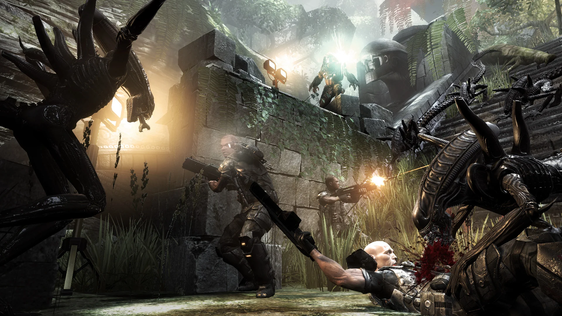 Aliens vs Predator Collection - Image 5
