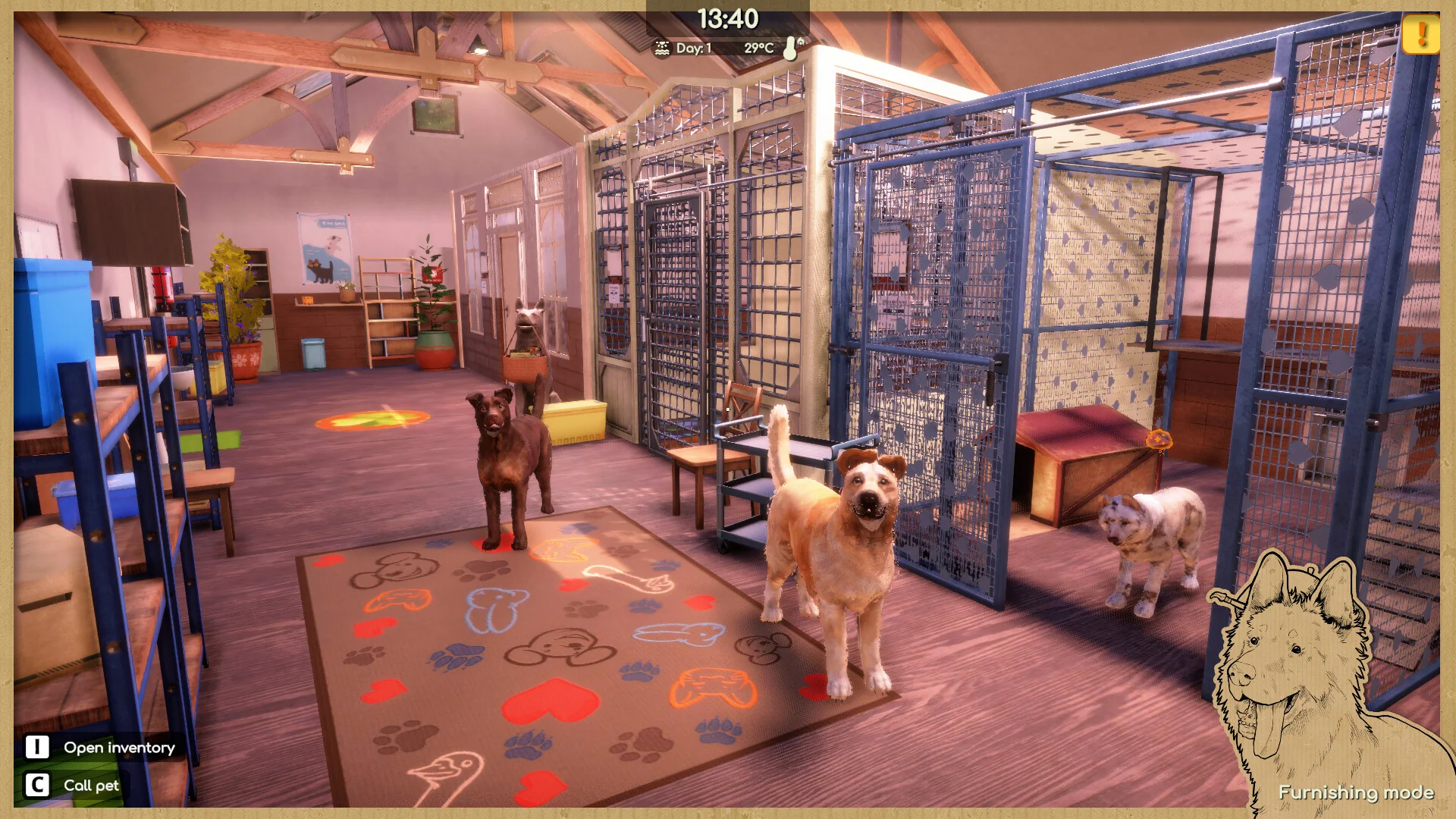 Animal Shelter 2 - Image 5