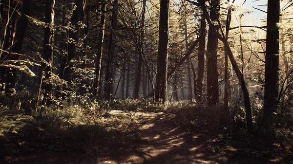 Blair Witch - Image 3