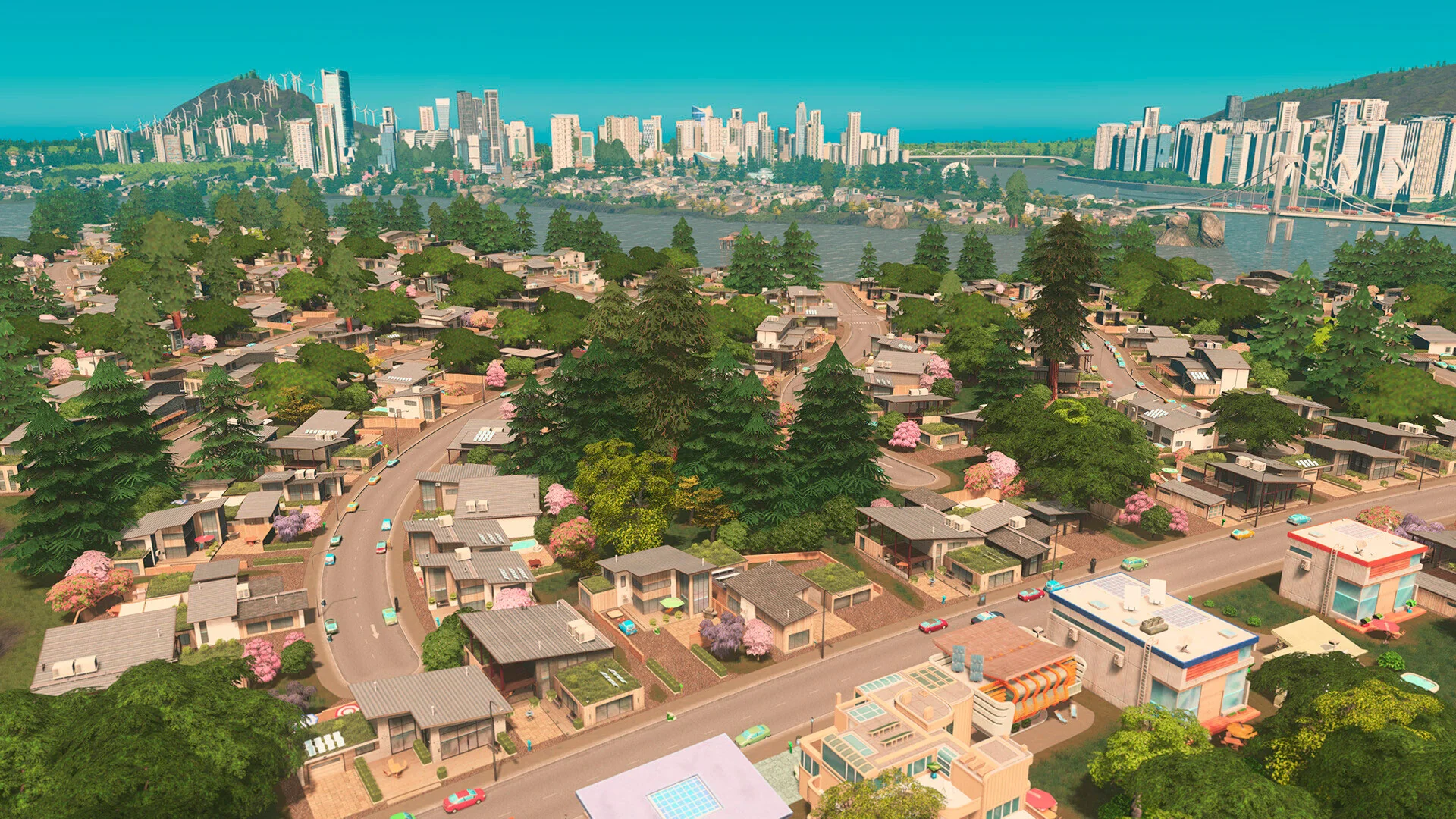 Cities Skylines Platinum Edition - Image 2