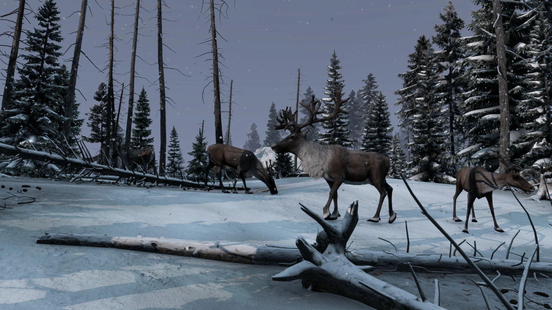 DayZ Frostline DLC - Image 5
