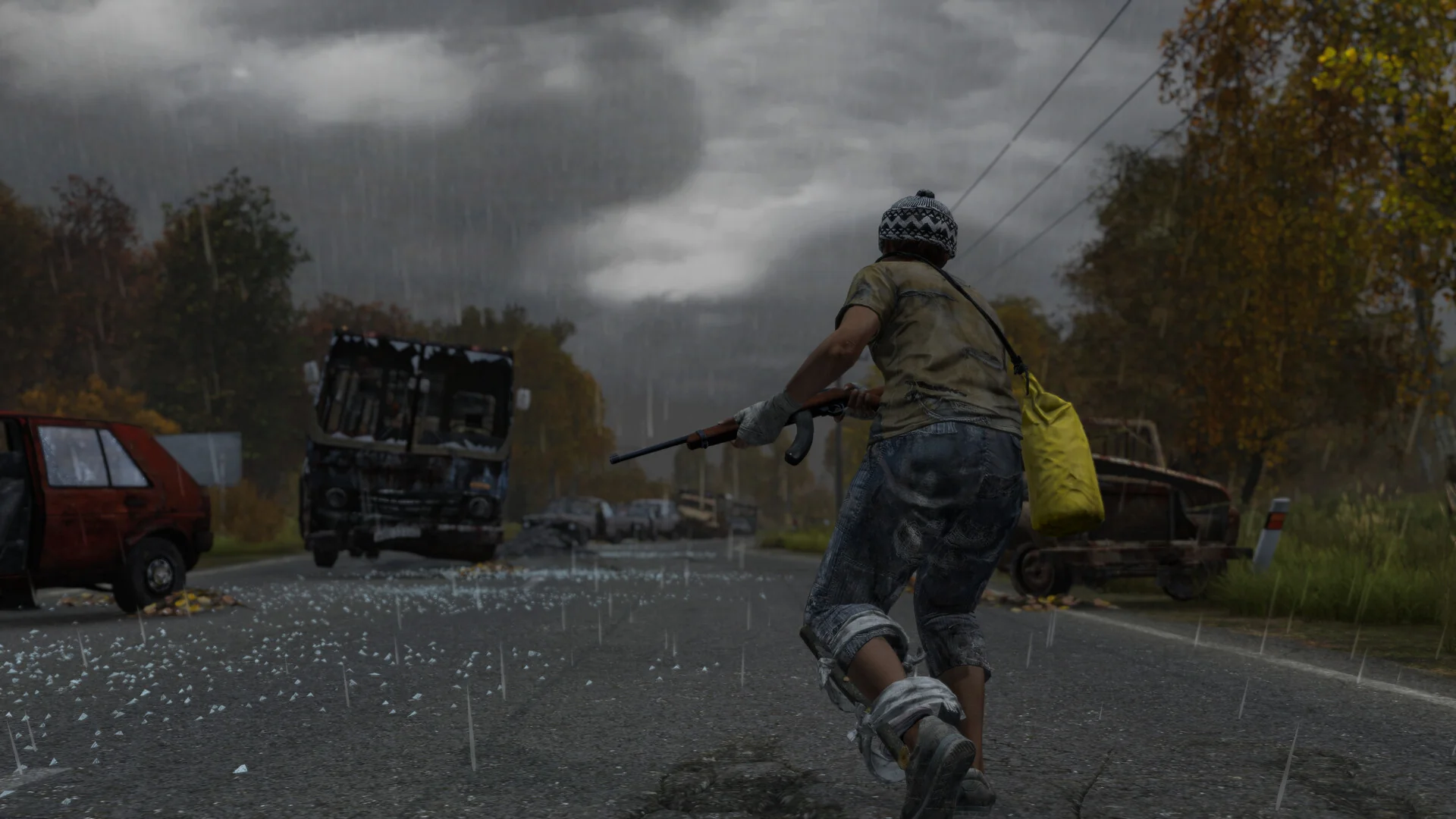 DayZ LATAM - Image 2