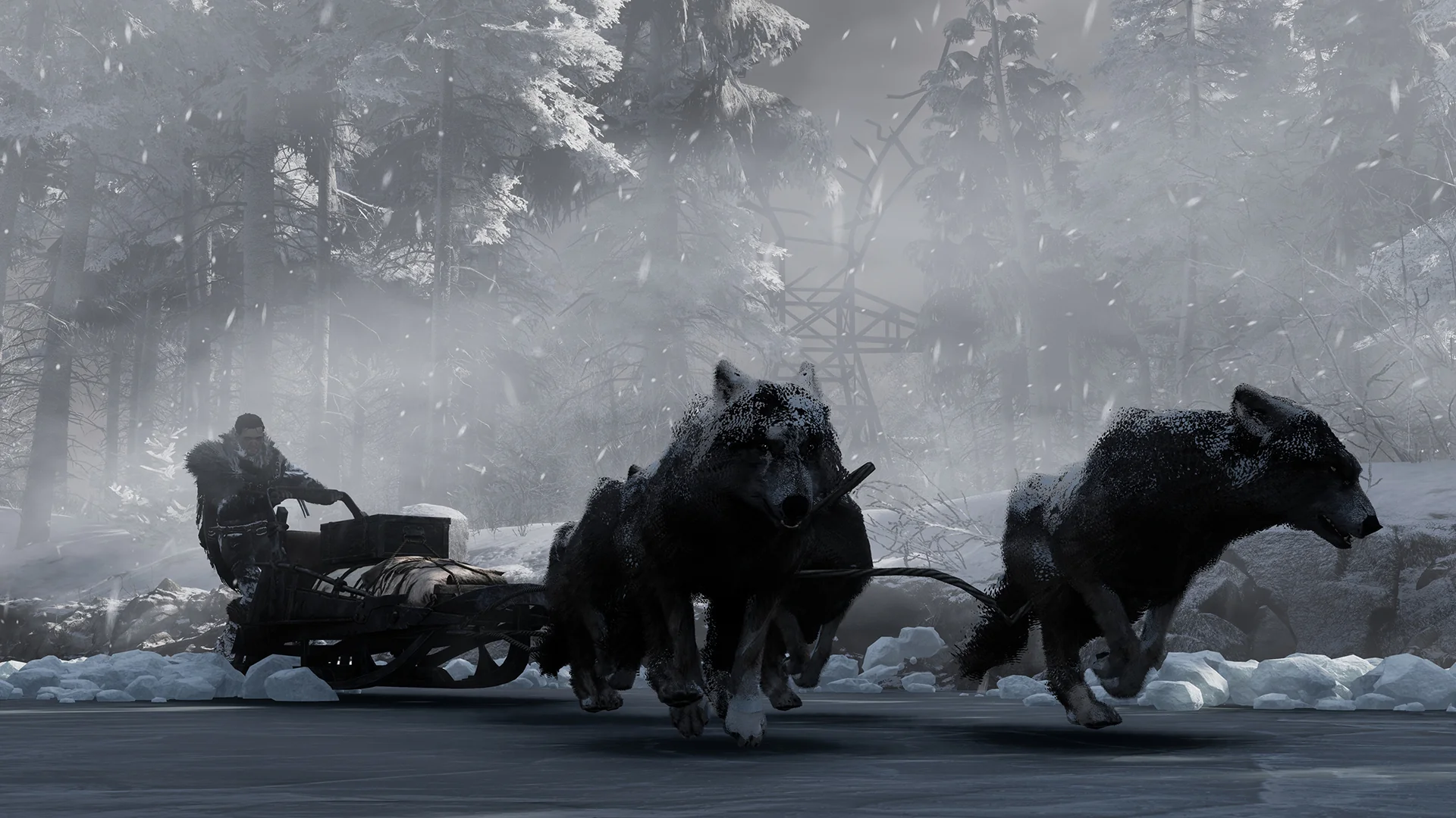 Fade to Silence - Image 4
