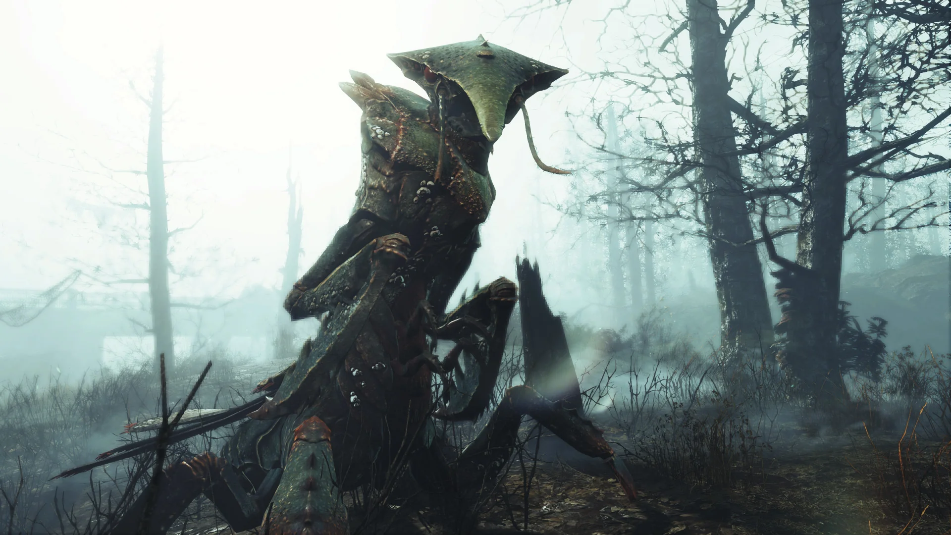 Fallout 4 - Far Harbor DLC - Image 4