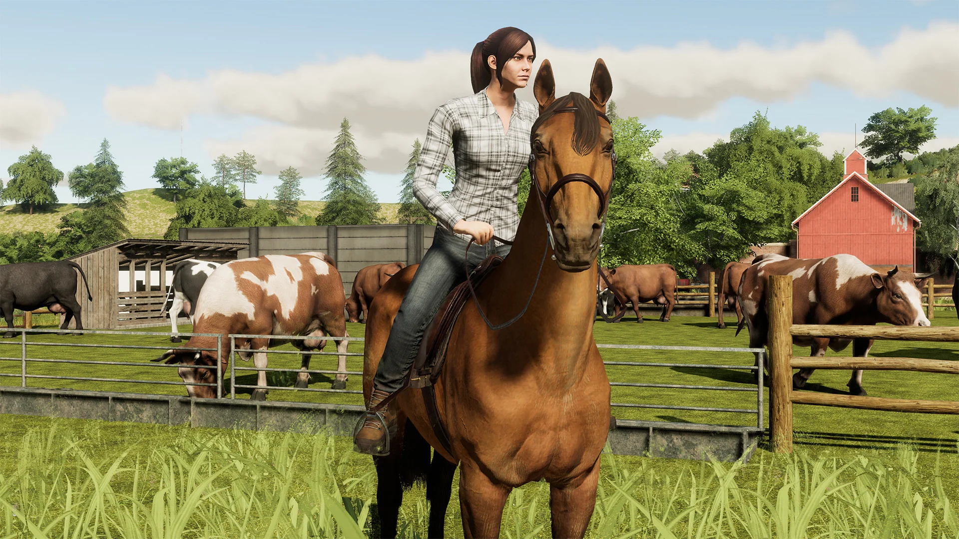 Farming Simulator 19 - Image 4
