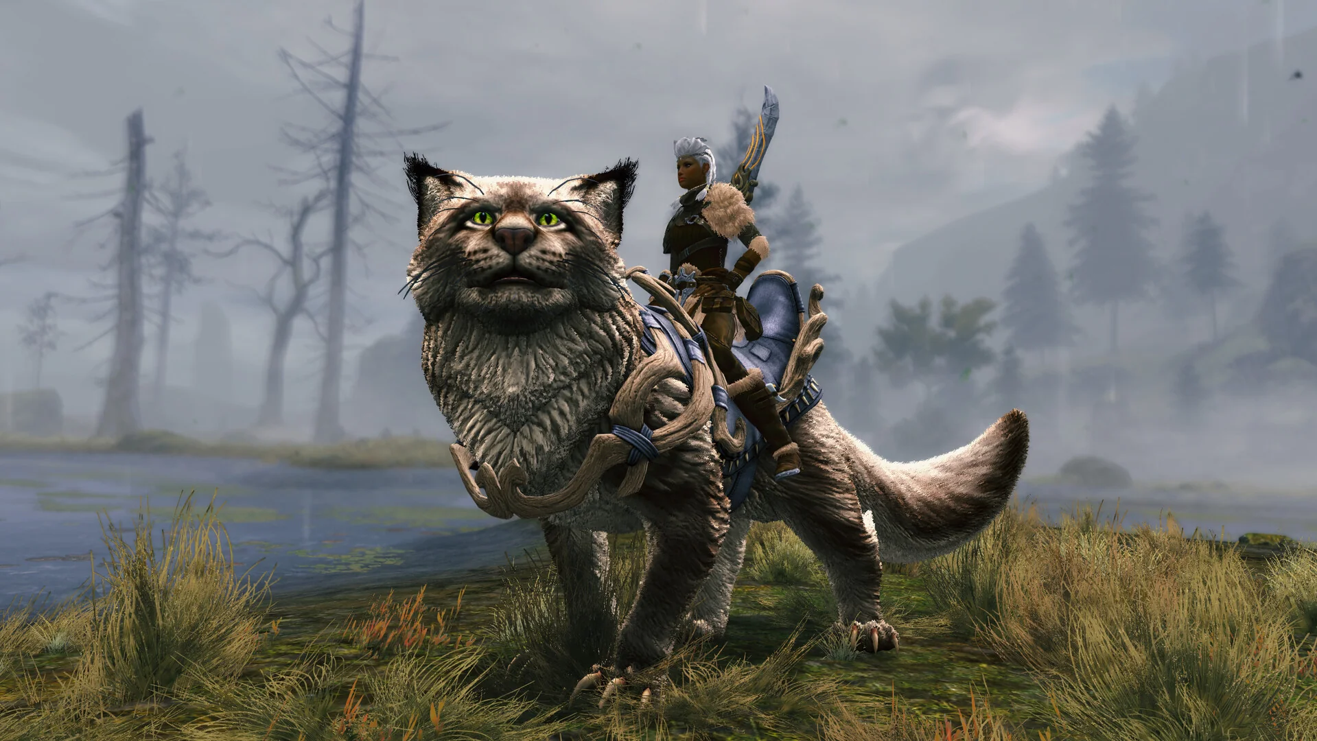Guild Wars 2 - Janthir Wilds - Expansion - Image 2