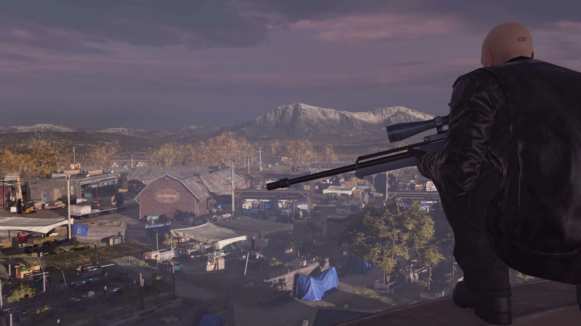Hitman: The Complete First Season - Image 2