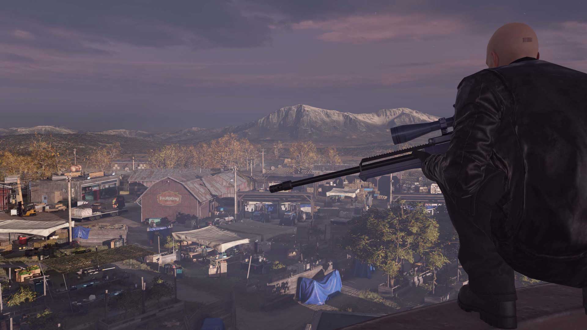 Hitman: The Full Experience - Image 4