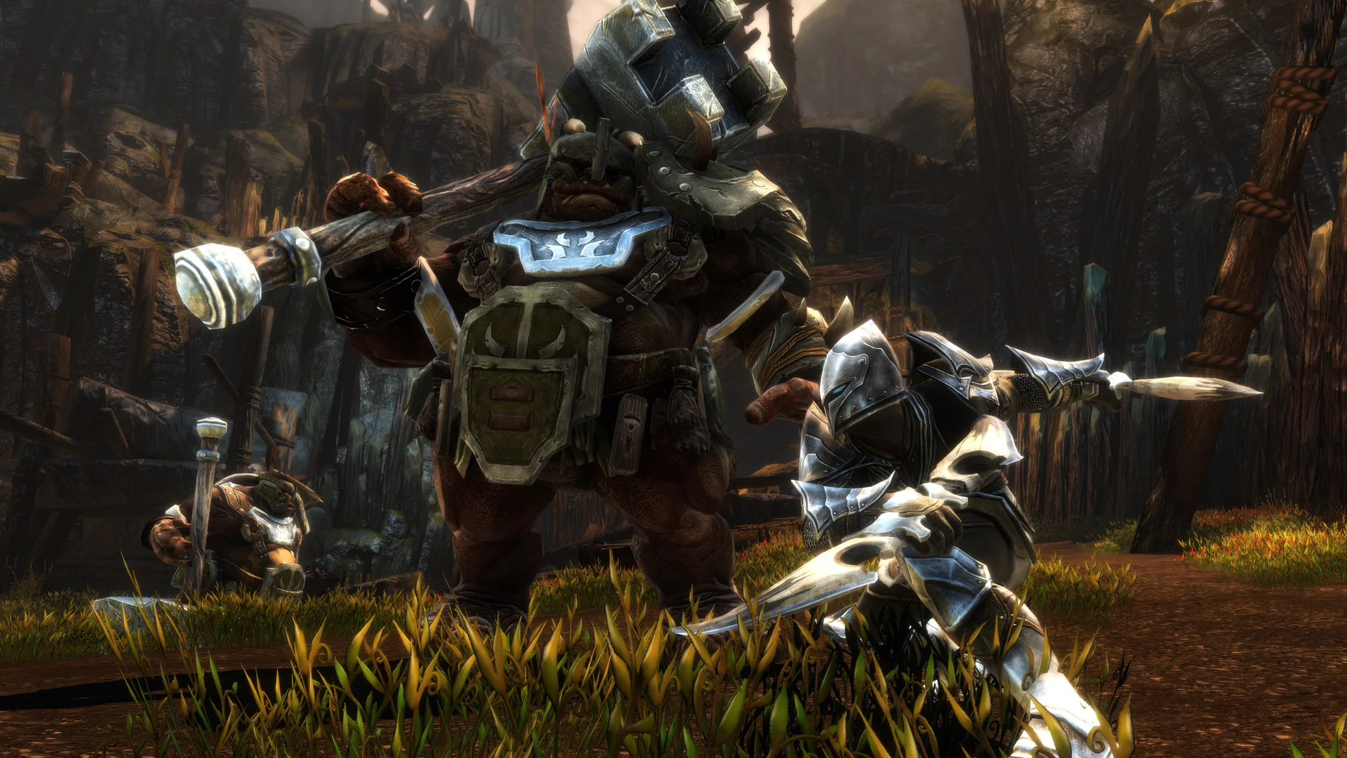 Kingdoms of Amalur: Re-Reckoning - Image 4