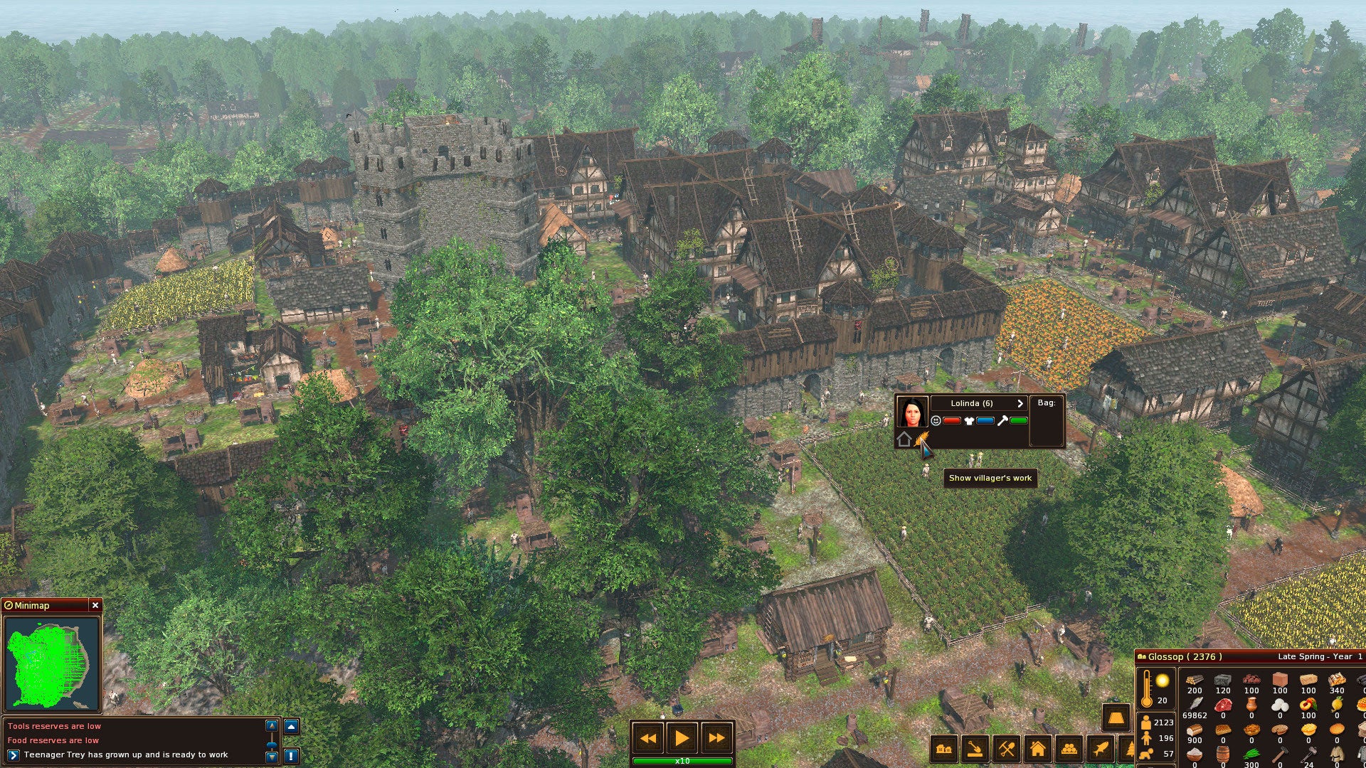 Life is Feudal: Forest Village - Image 3