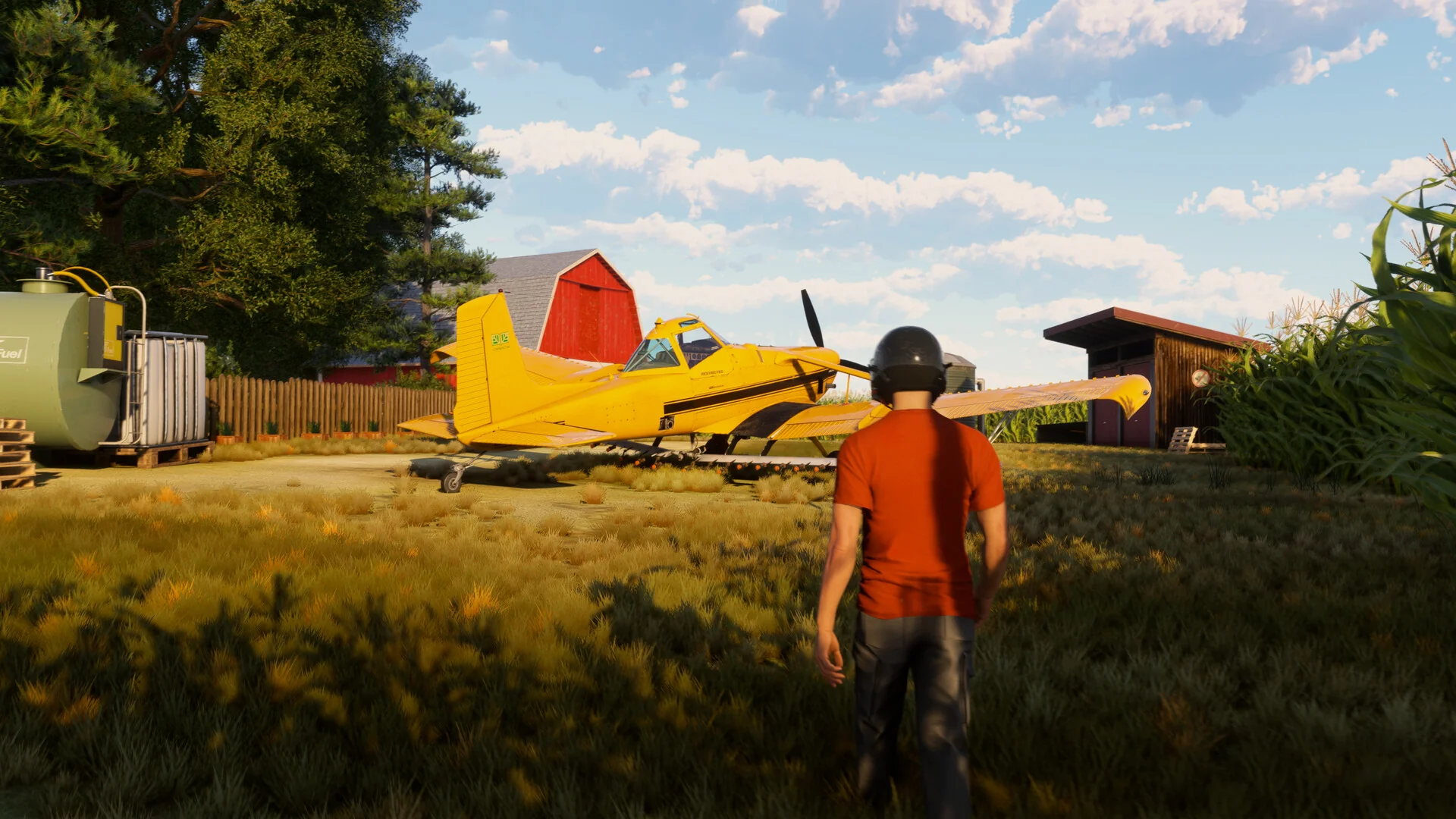Microsoft Flight Simulator 2024 Aviator Edition - Image 3