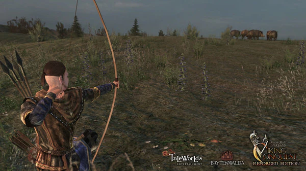 Mount & Blade Warband - Viking Conquest Reforged Edition DLC - Image 3