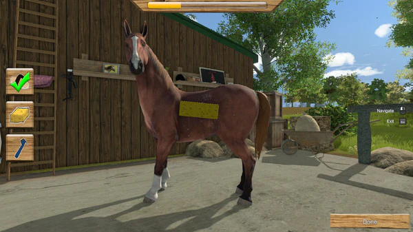 My Little Riding Champion - Image 5