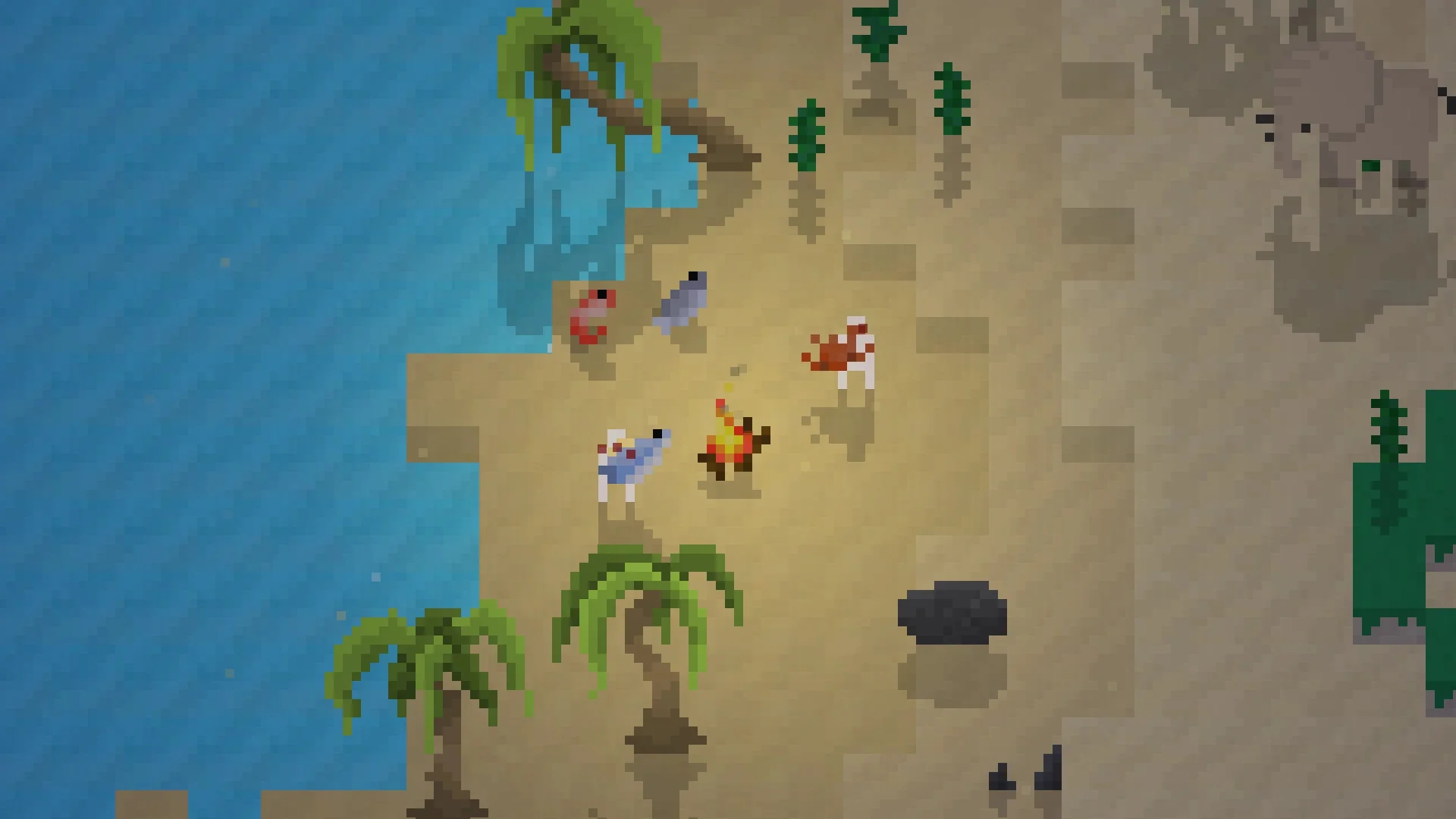 Nira - Image 5