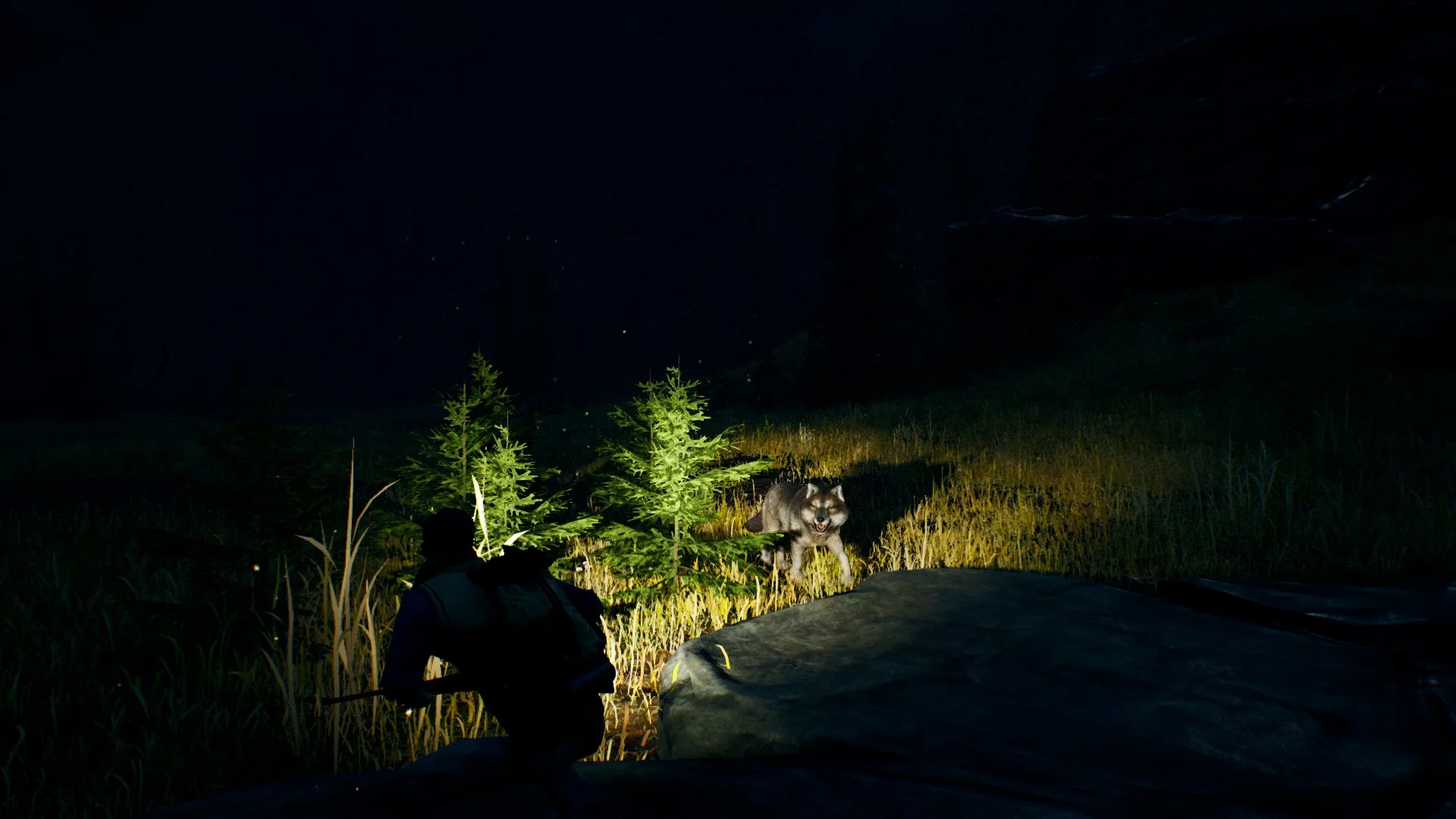 Open Country - Image 5