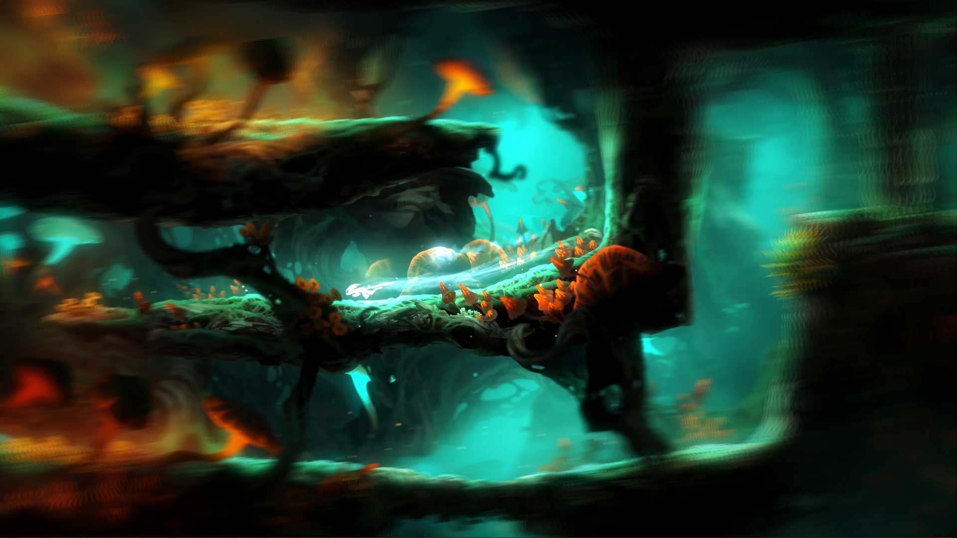 Ori and the Blind Forest Definitive Edition - Image 4
