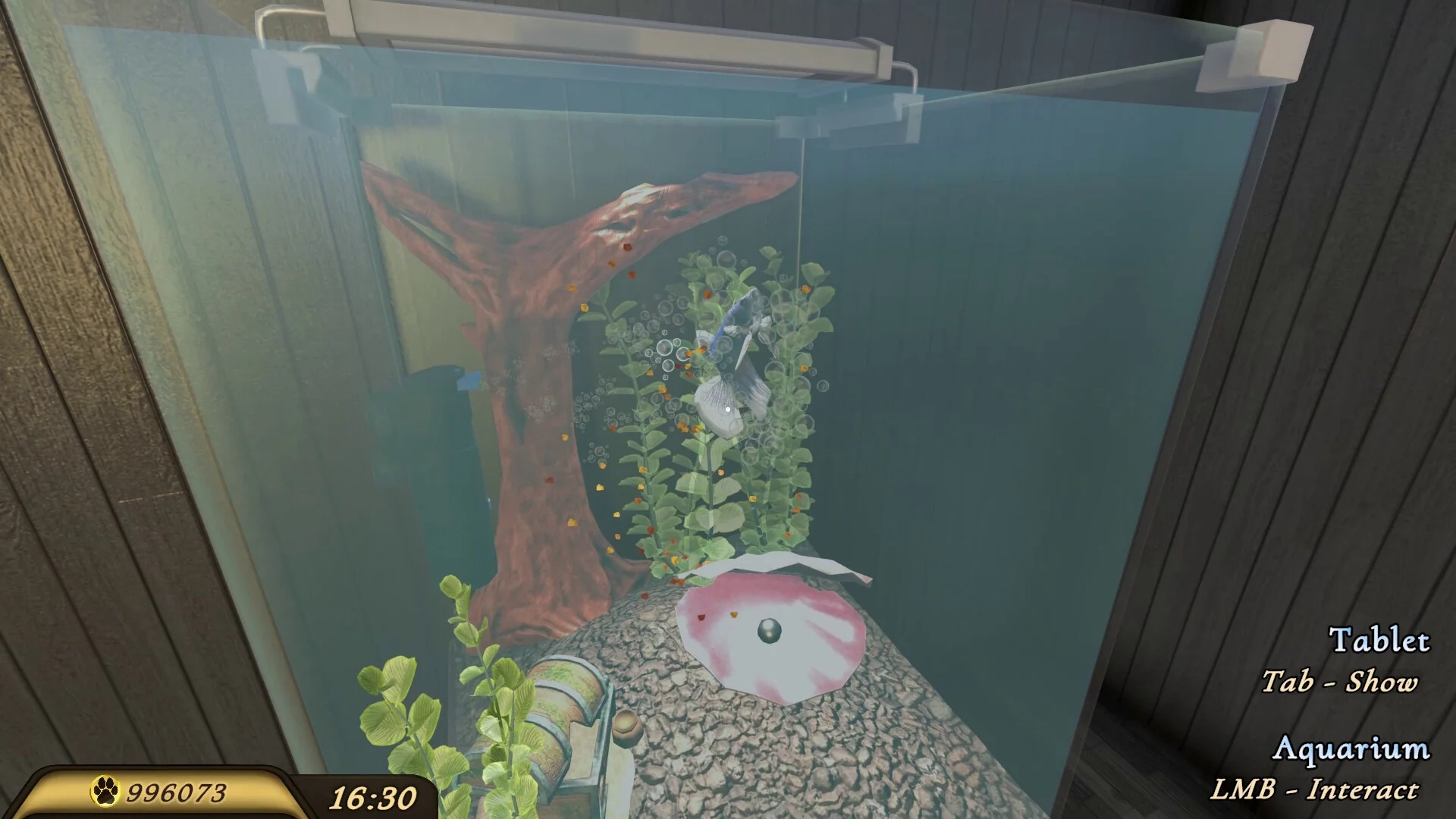 Pets Hotel - Image 5