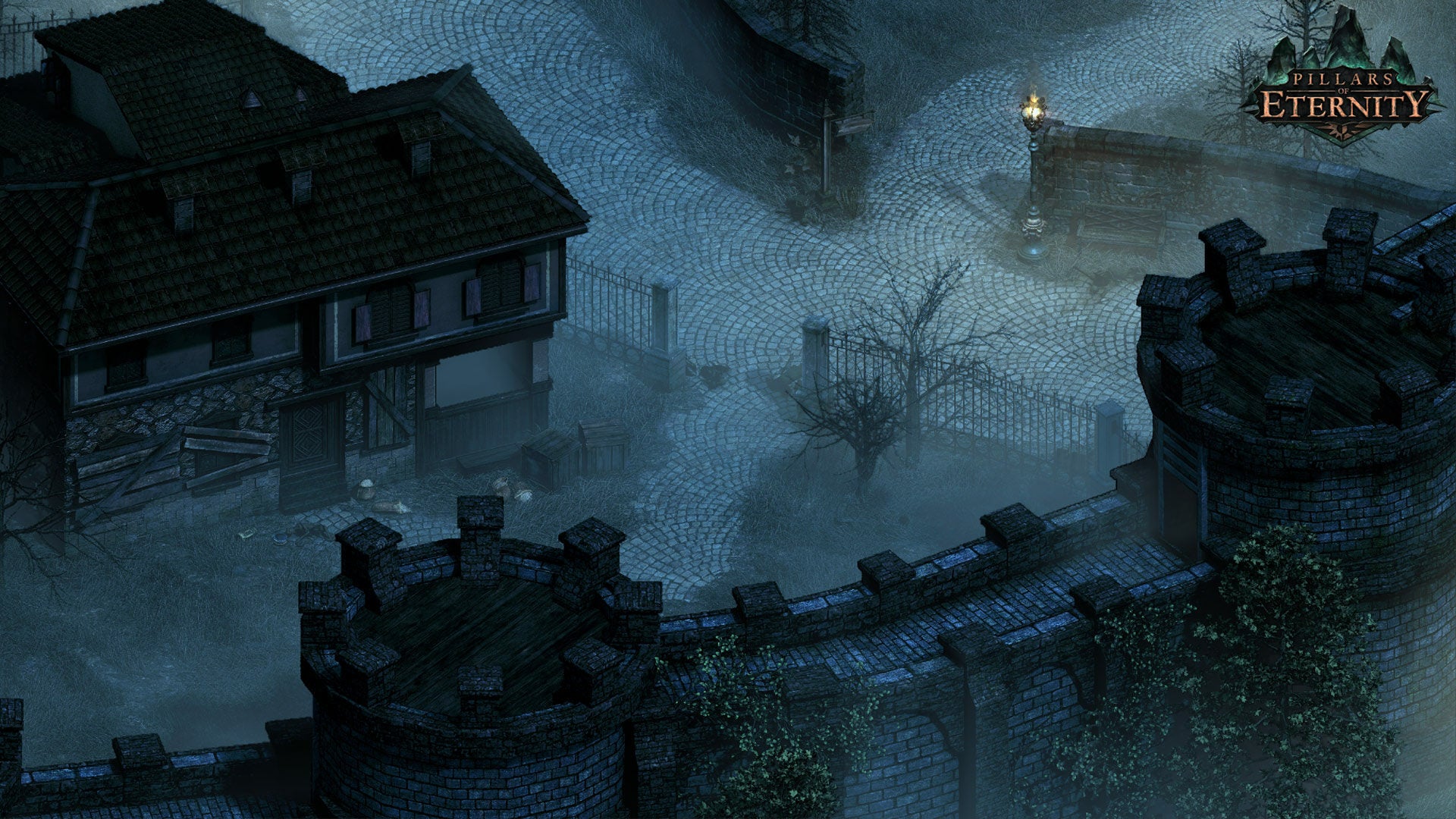 Pillars of Eternity Champion Edition - Image 5