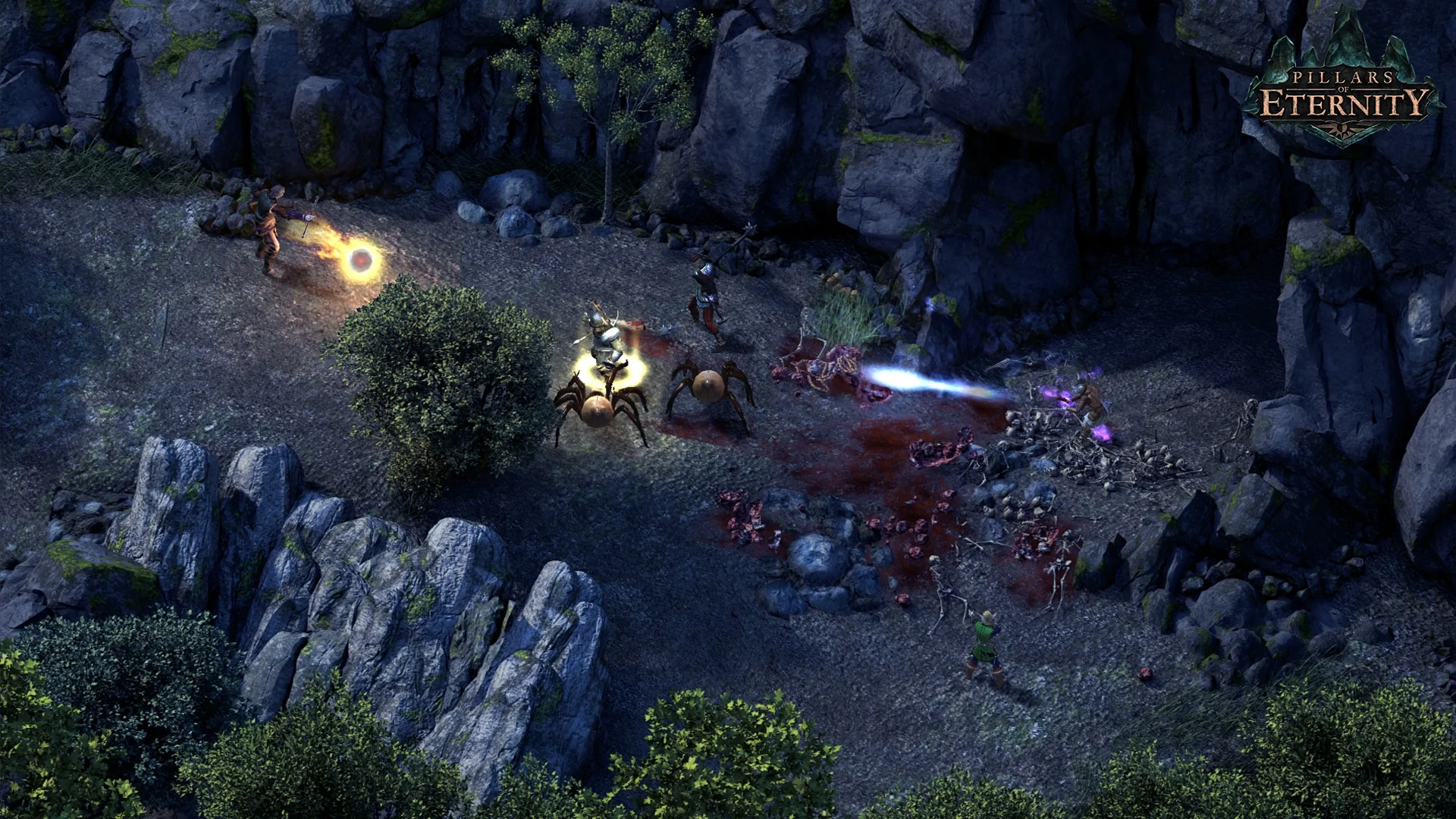Pillars of Eternity Definitive Edition - Image 5