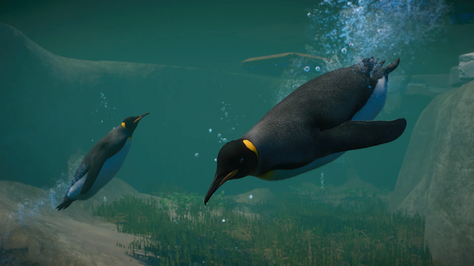 Planet Zoo: Aquatic Pack DLC - Image 4