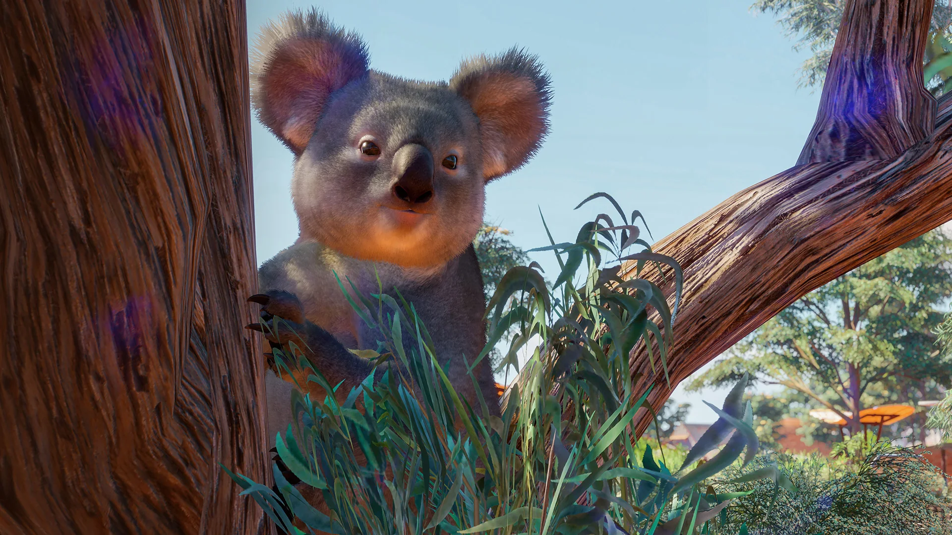 Planet Zoo: Australia Pack DLC - Image 4