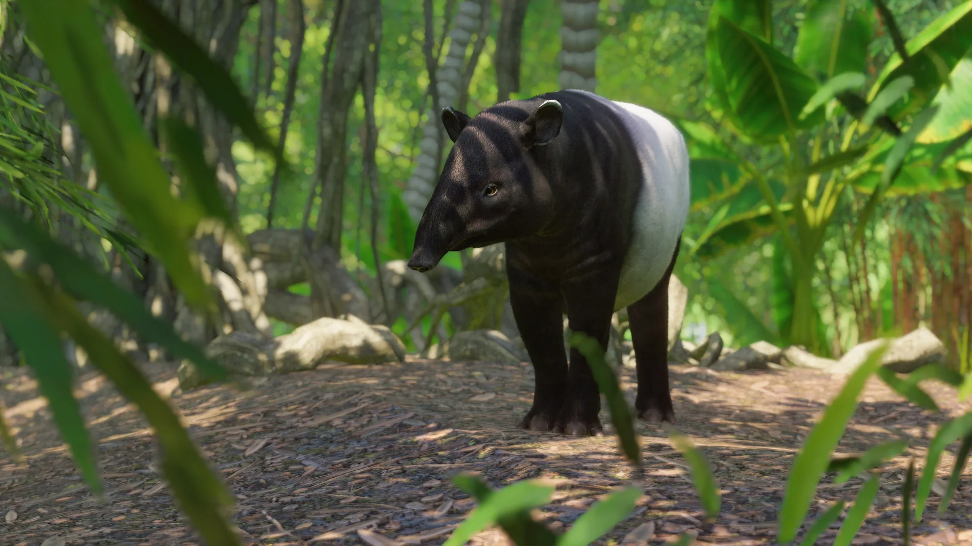 Planet Zoo: Southeast Asia Animal Pack DLC - Image 3