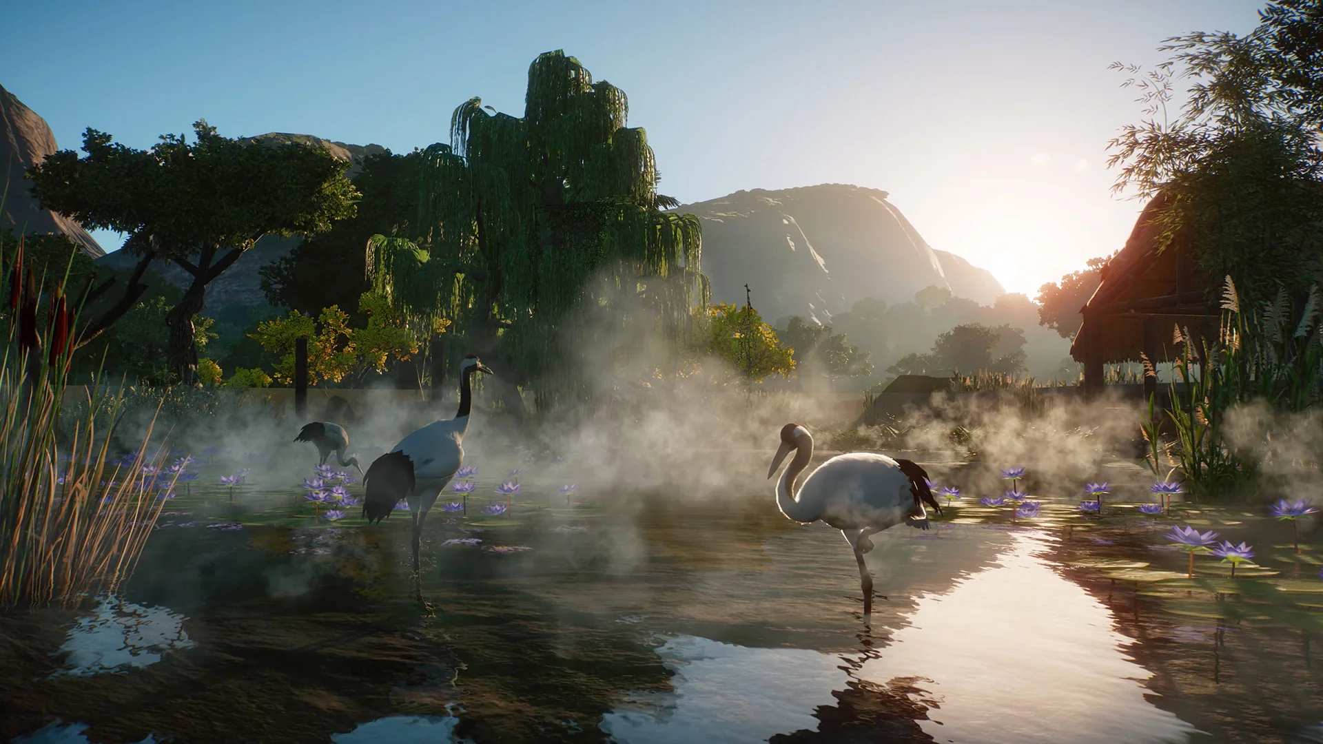 Planet Zoo: Wetlands Animal Pack DLC - Image 4