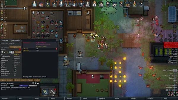 Rimworld - Image 5