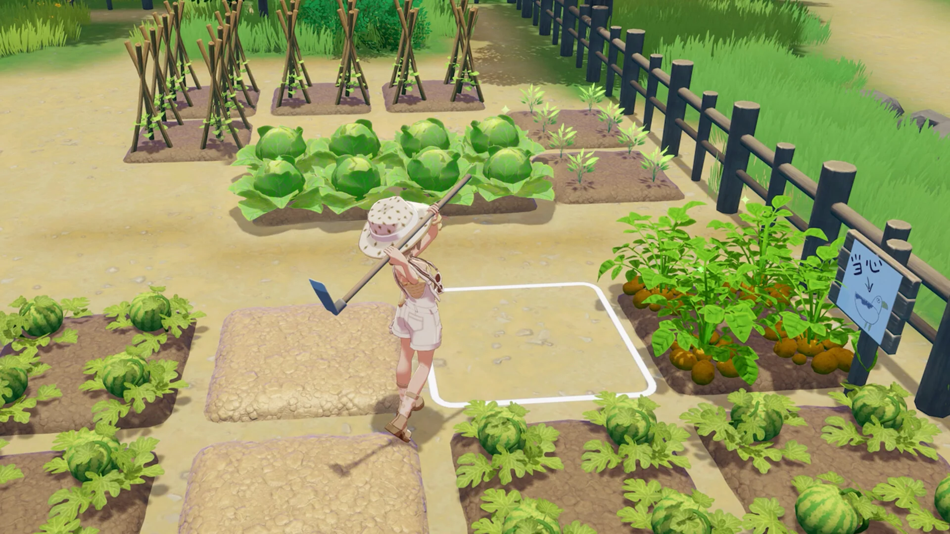 Starsand Island - Image 4