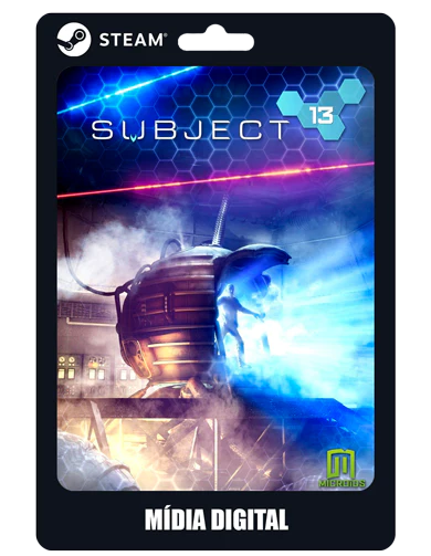 Subject 13