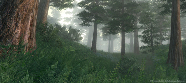The Elder Scrolls IV Oblivion GOTY - Image 5