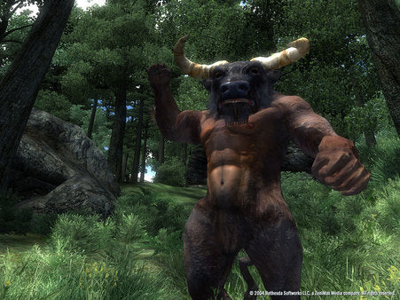 The Elder Scrolls IV Oblivion GOTY Deluxe - Image 3