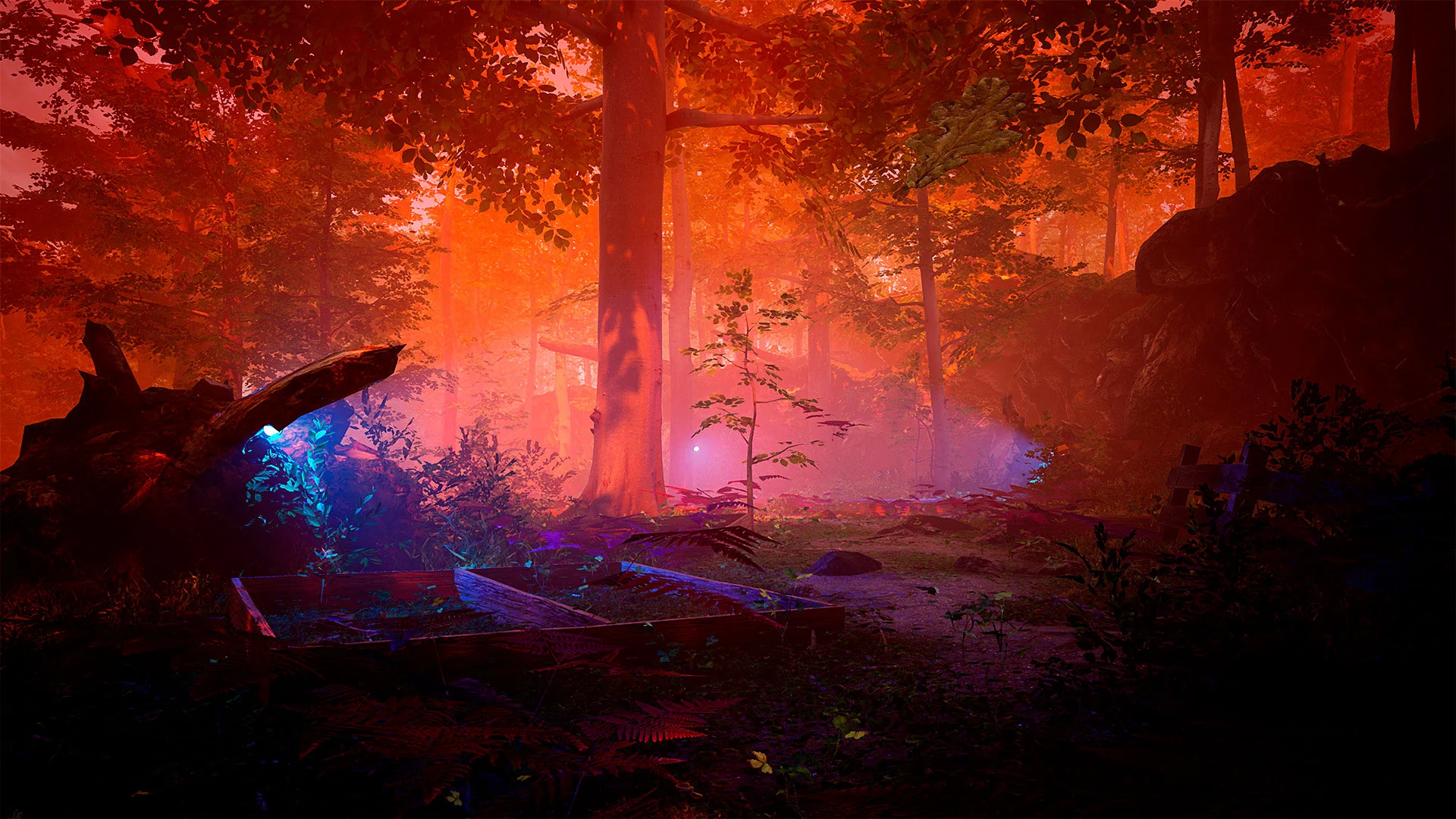 The Fabled Woods - Image 3