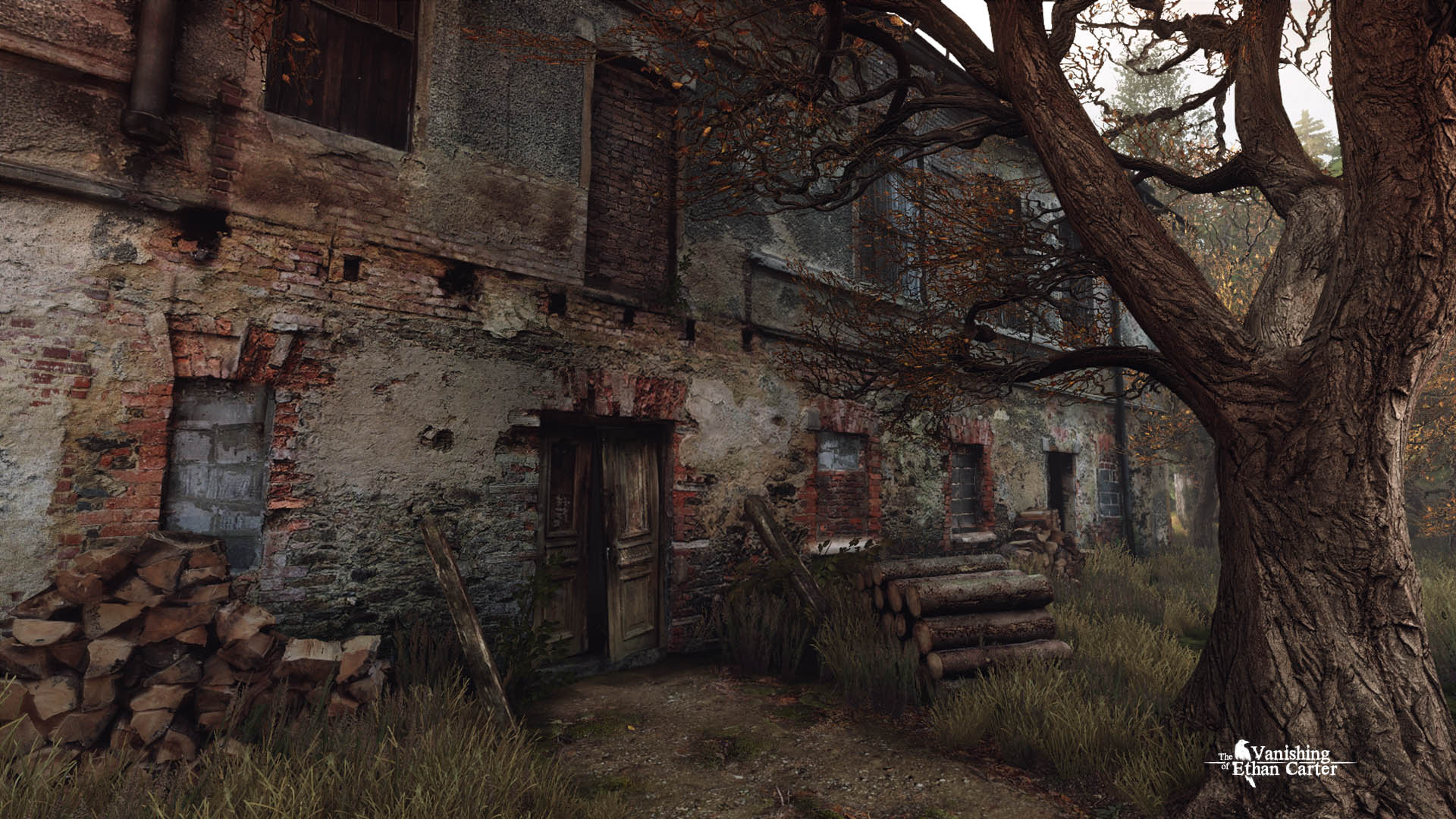 The Vanishing of Ethan Carter - Image 4