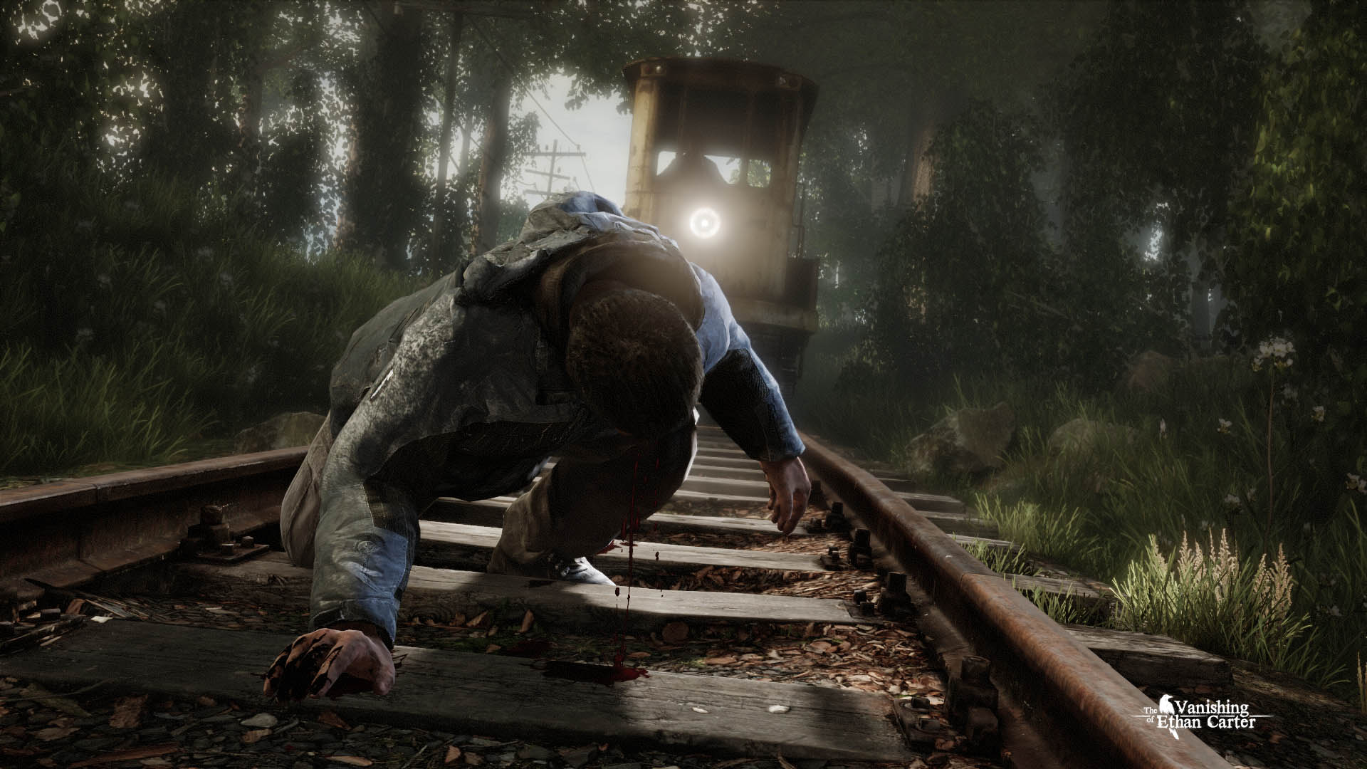 The Vanishing of Ethan Carter - Image 5