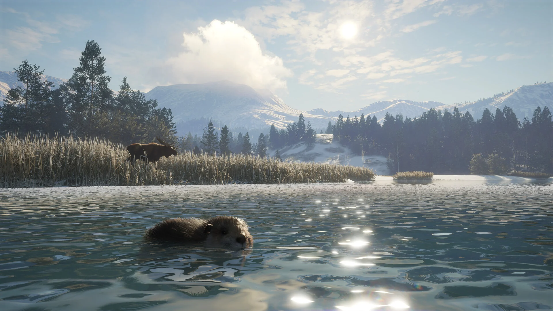 theHunter: Call of the Wild - Alberta Hunting Preserve DLC - Image 3
