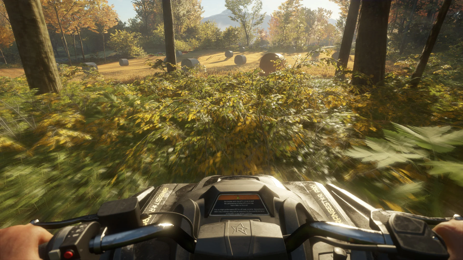 theHunter Call of the Wild - ATV SABER 4X4 DLC - Image 2