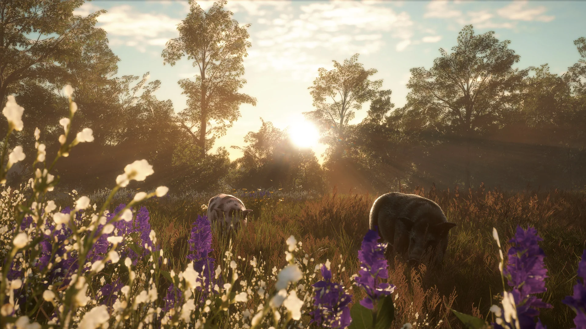 theHunter Call of the Wild - Mississippi Acres Preserve DLC - Image 2