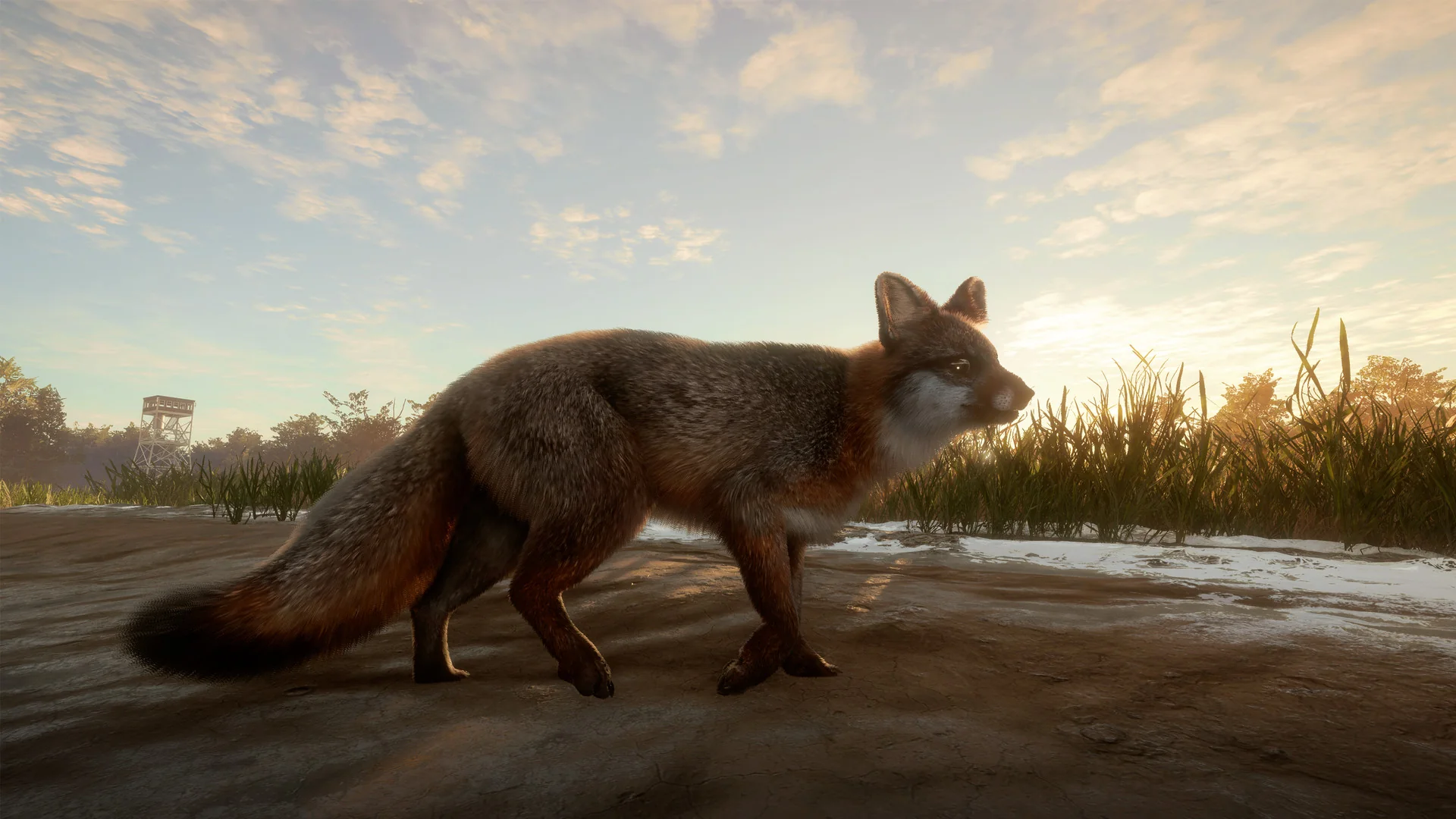 theHunter Call of the Wild - Mississippi Acres Preserve DLC - Image 4