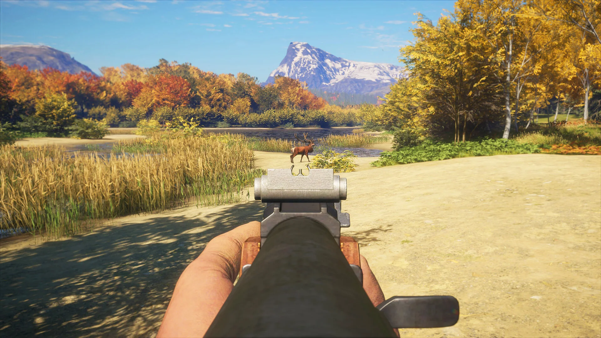 theHunter: Call of the Wild - Rapid Hunt Rifle Pack DLC - Image 5