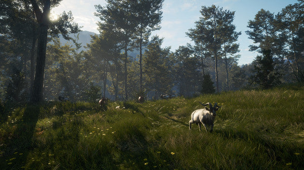 theHunter Call of the Wild - Te Awaroa National Pack DLC - Image 2