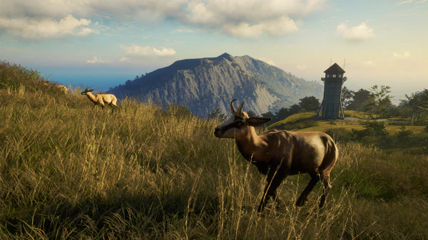 theHunter Call of the Wild - Te Awaroa National Pack DLC - Image 4