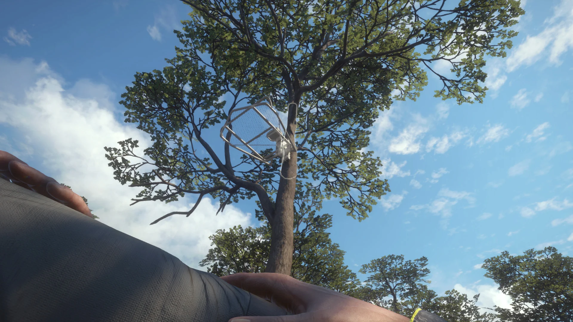 theHunter Call of the Wild - Treestand & Tripod Pack DLC - Image 4