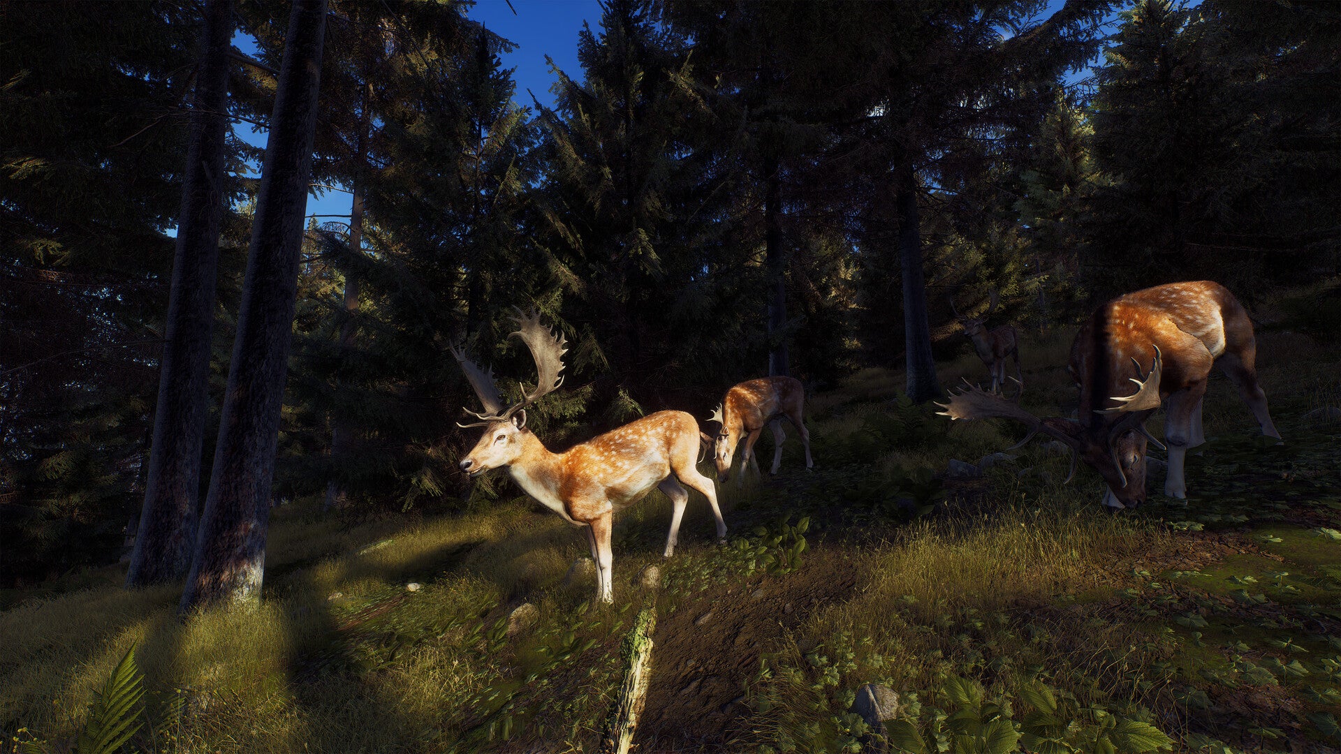 Way of the Hunter Elite Edition - Image 3
