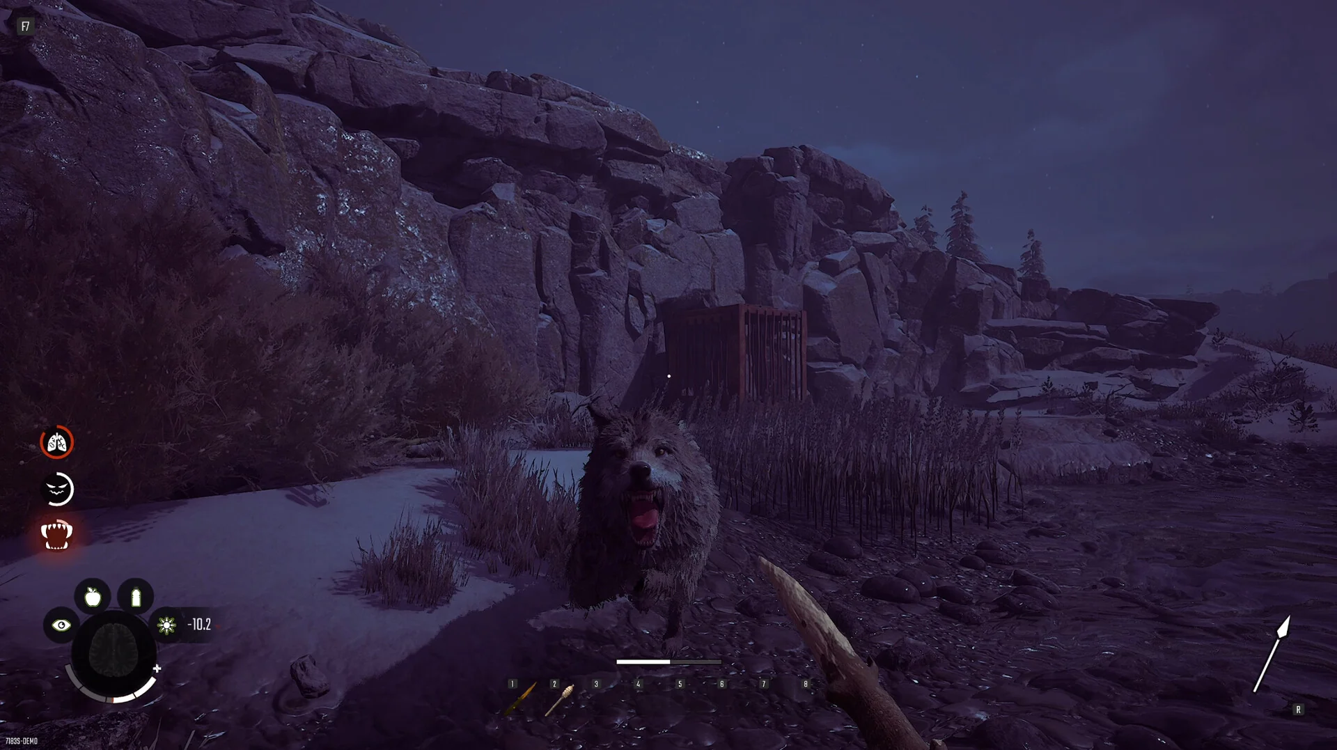 Winter Survival - Image 5