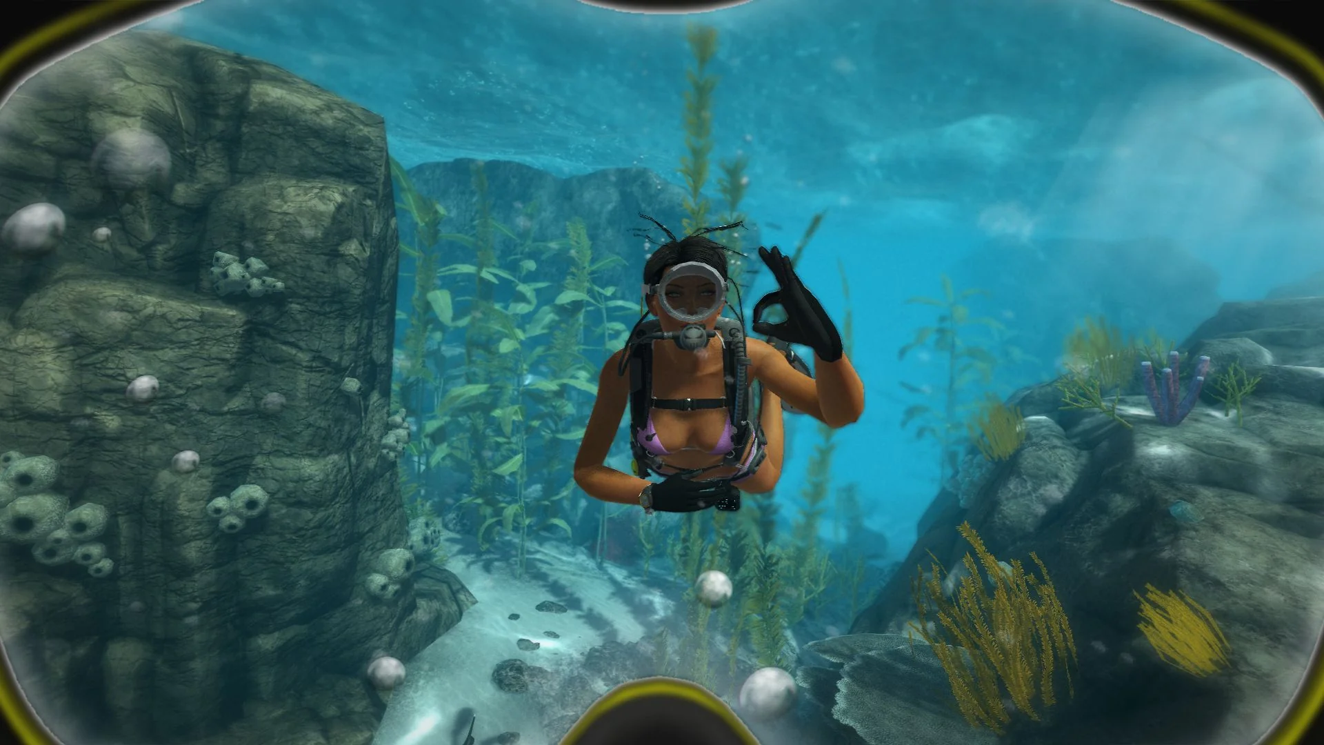 World of Diving - Image 4