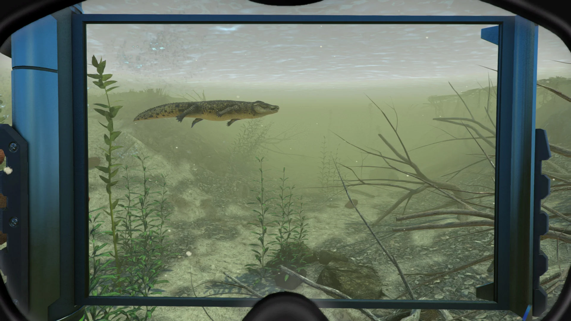 World of Diving - Image 5