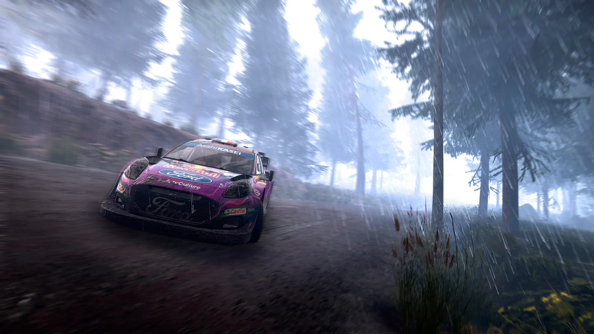 WRC Generations Fully Loaded Edition - Image 3